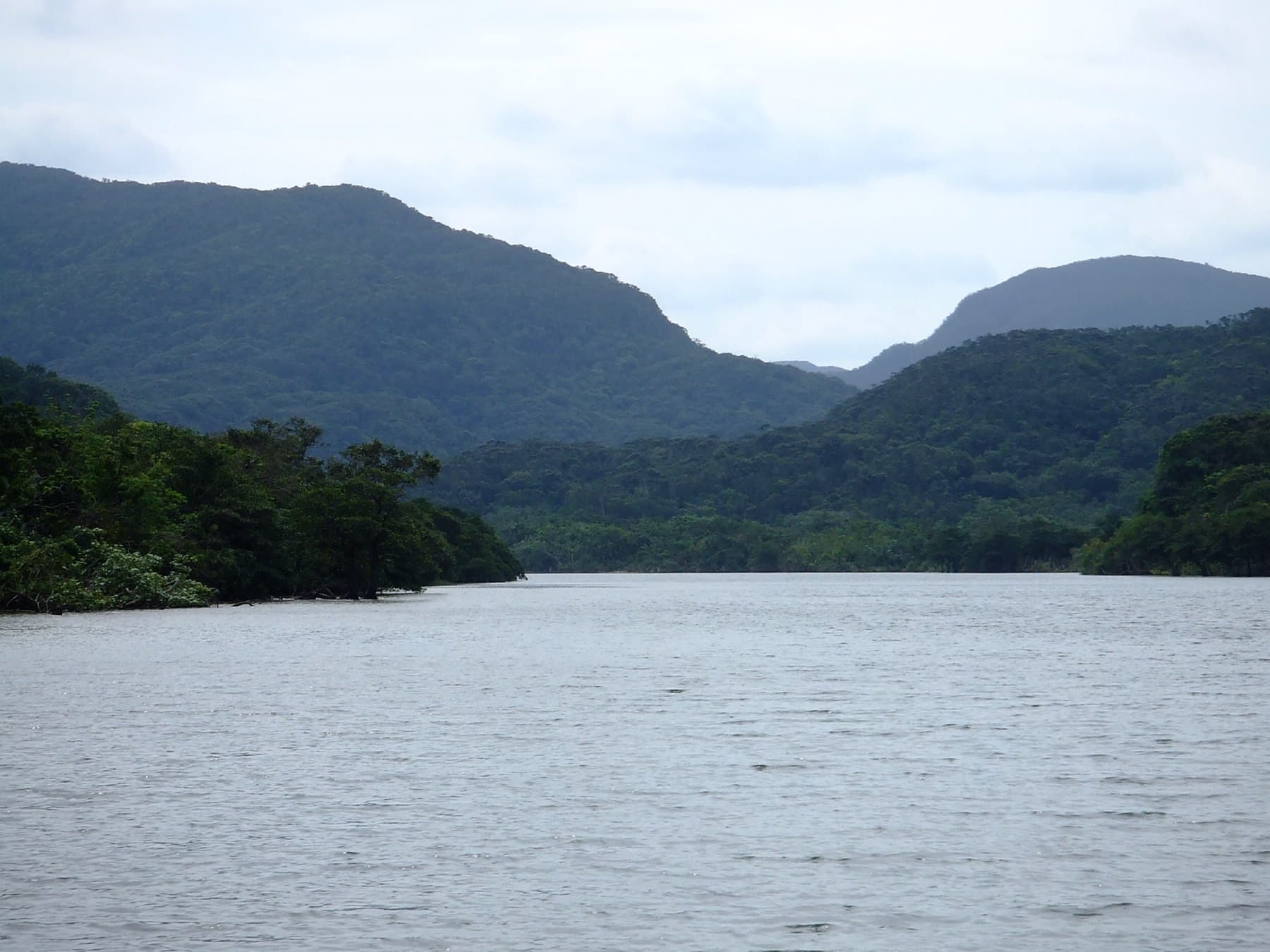 The broad, calm Urauchi River winds inland between forested ridges under a soft grey sky on Iriomote.