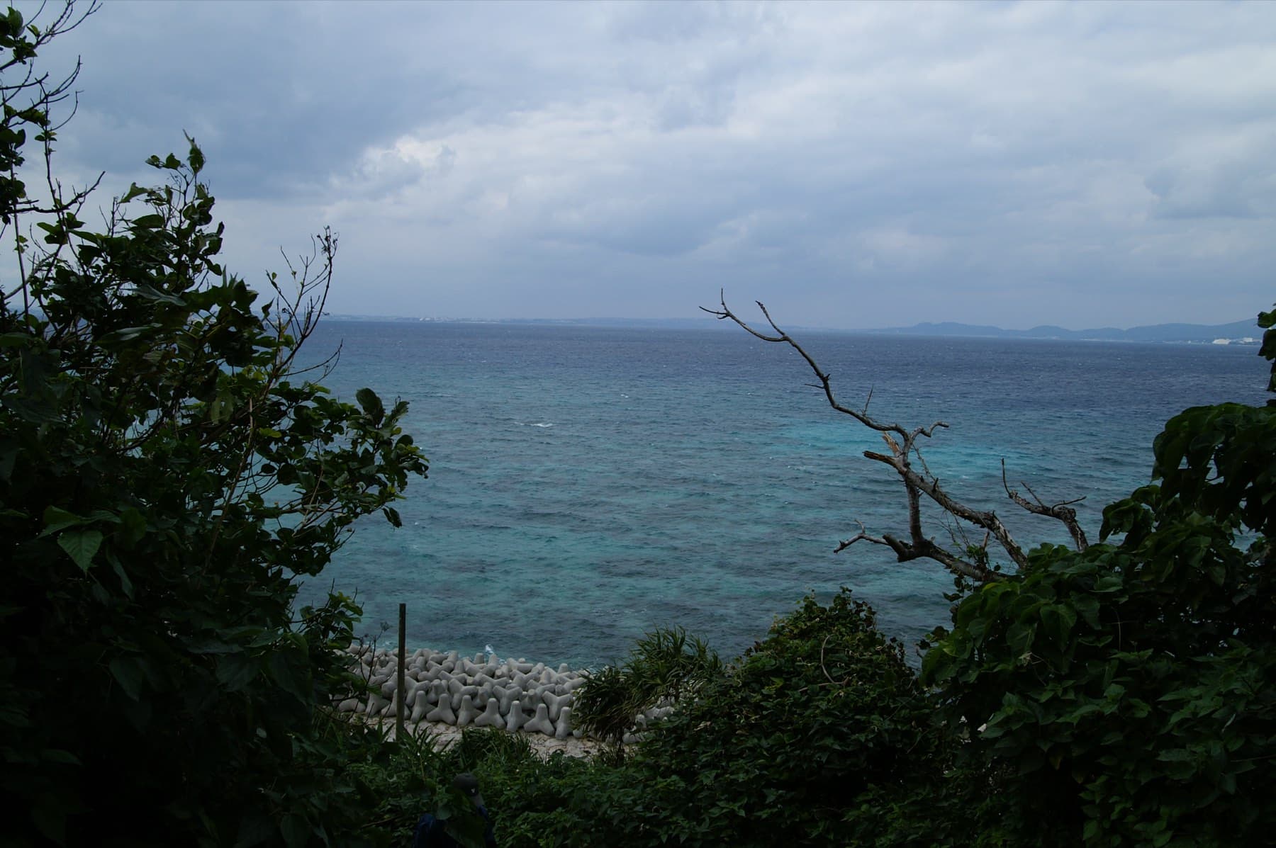 Kin Bay opens out beyond the trees on Ikei island, with blue-green water over the reef and the hills of the east coast on the far side under grey cloud.