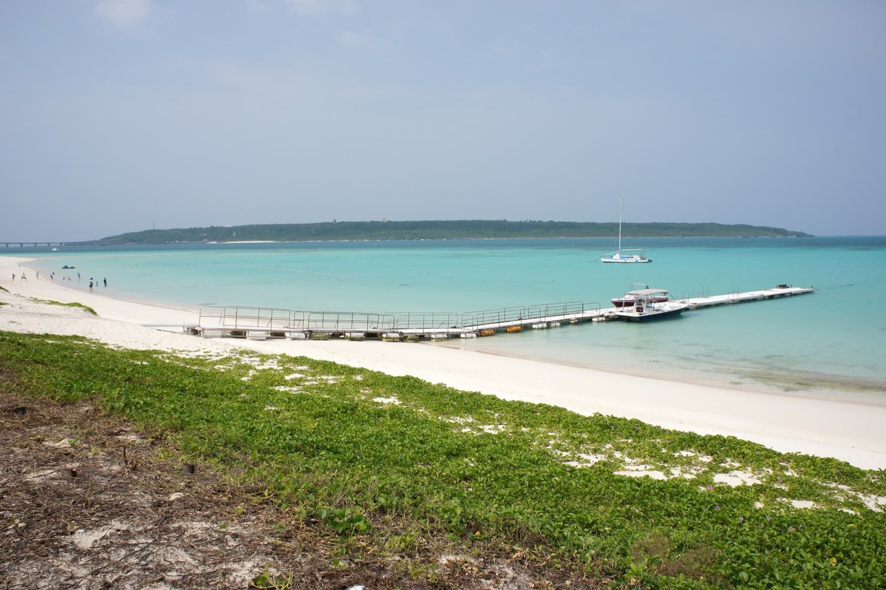 Beach morning glory trails over the dune above Yonaha Maehama as a wooden jetty runs out into milky turquoise water toward the low green line of Kurima.