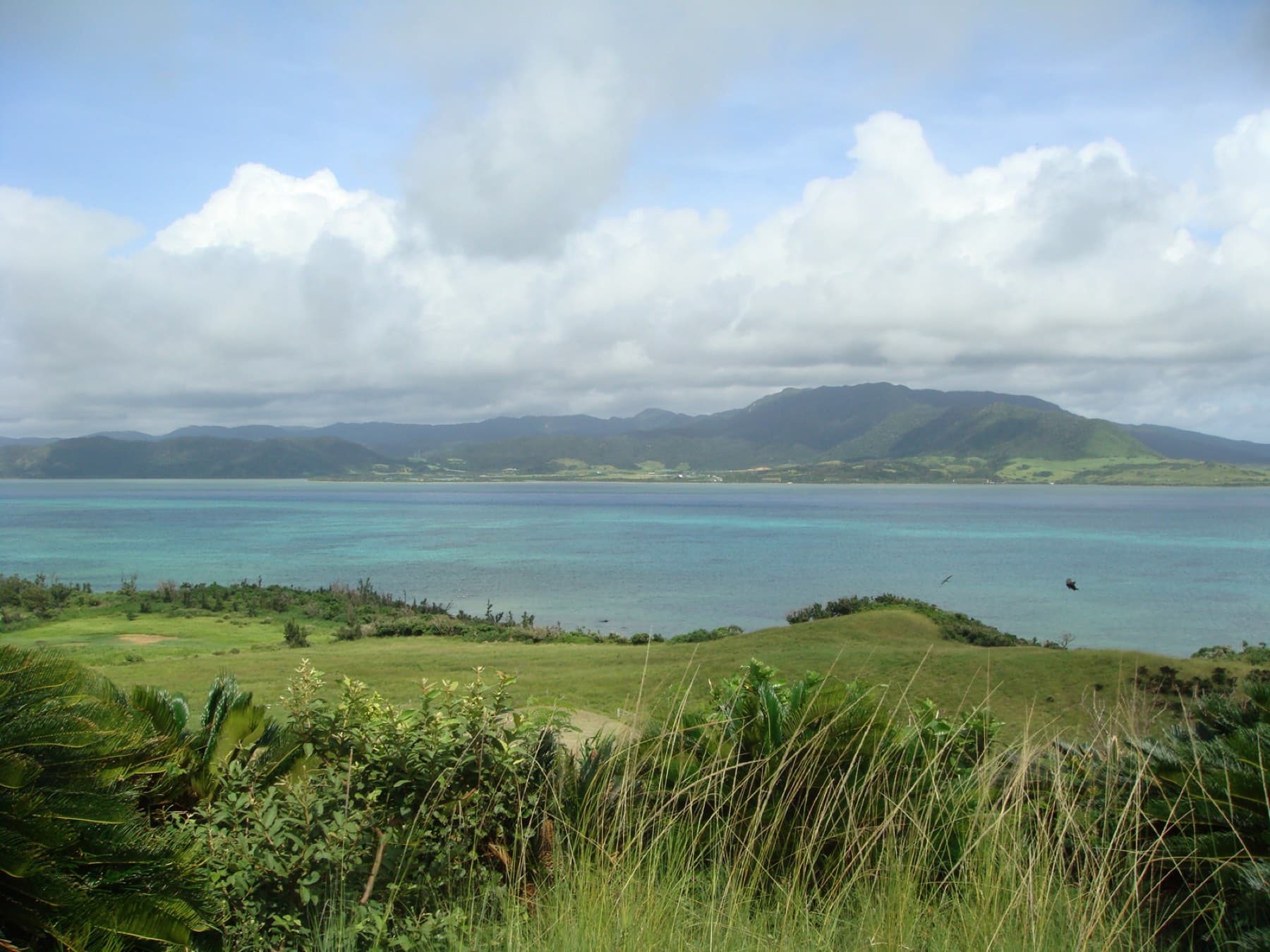 The Yonara Channel spreads blue and green between the grassy north shore of Kohama and the mountains of Iriomote under summer cloud.