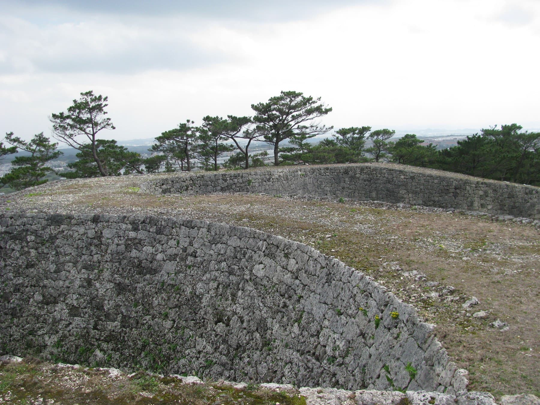 The broad curving walls of Zakimi Castle wrap around a hilltop of grass and coral rubble, with Ryukyu pines along the top under a soft grey sky