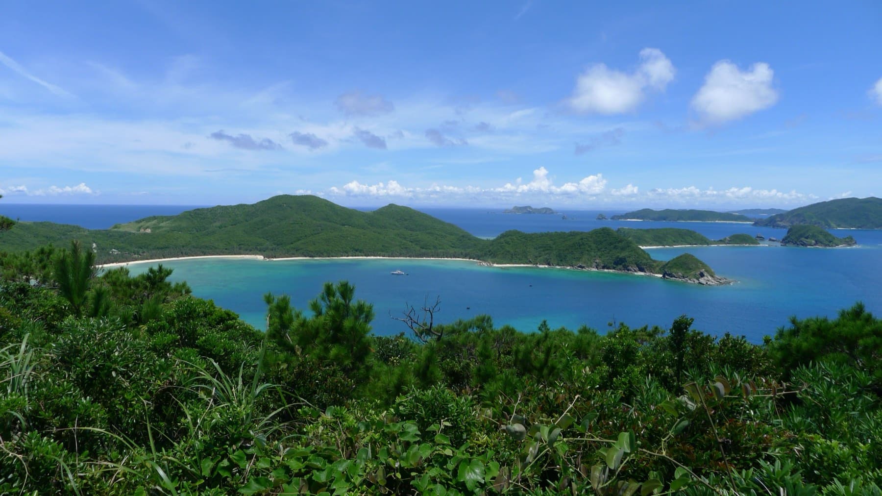 Pine scrub falls away to a sheltered blue bay on Zamami, where a white beach runs below a green headland and smaller Kerama islands sit on the horizon